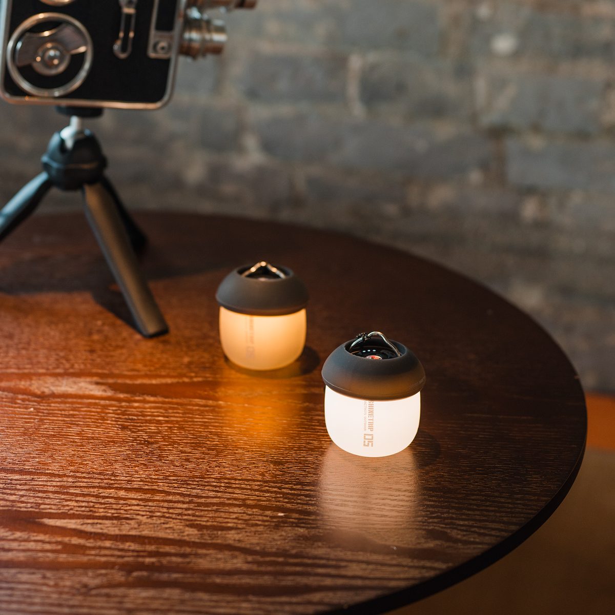 Two A61 Acorn Lamps with dark shades glowing on a table beside a vintage camera on a tripod