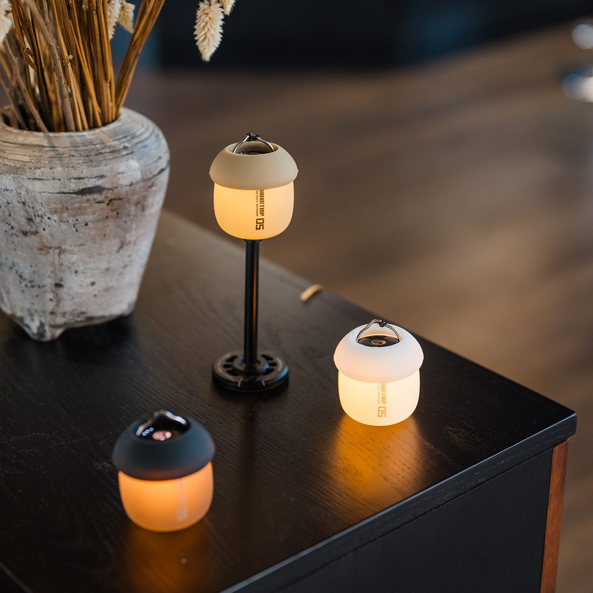 A61 Acorn Lamps on a dark table beside a vase of dried grass, one raised on a light stand